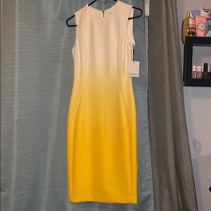 Calvin Klein dress.